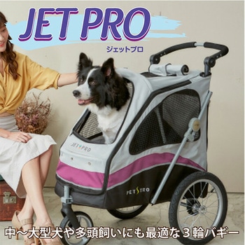 3輪バギー JetPro ファンタジーワールド