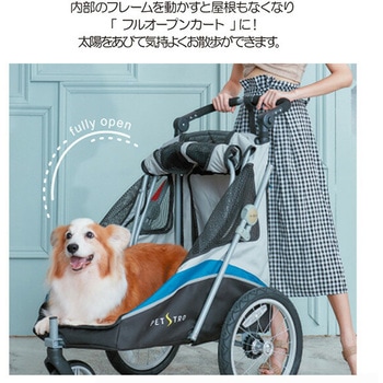 3輪バギー JetPro ファンタジーワールド