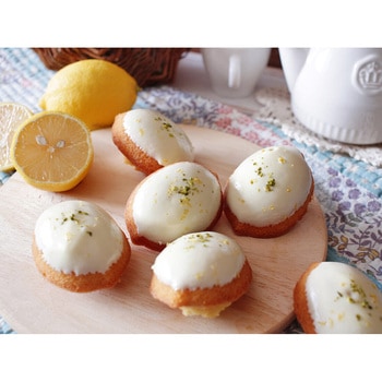 cotta レモンケーキ型 6個取 cotta