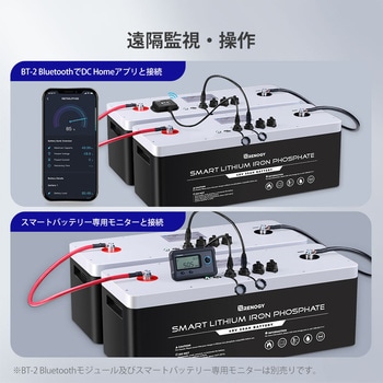 リン酸鉄リチウムイオンバッテリー RENOGY JAPAN