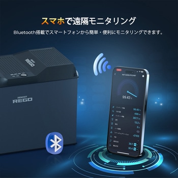 リン酸鉄リチウムイオンバッテリー 1台 RENOGY JAPAN 【通販