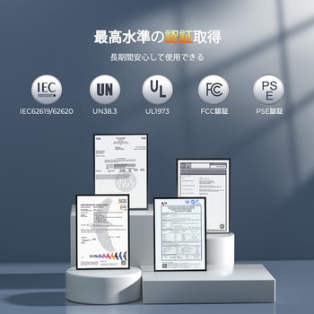 リン酸鉄リチウムイオンバッテリー 1台 RENOGY JAPAN 【通販