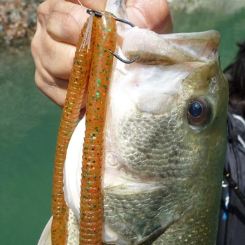 DECOY WORM HOOK Cover Finesse HD(カバーフィネスHD) ワーム220 - カツイチ