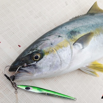 DECOY ASSIST HOOK Twin Pike(ツインパイク) DJ-88 カツイチ