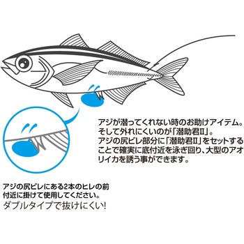 能登外浦の釣り 新装版 (航空写真で見る絶好の釣り場!) | 全日本