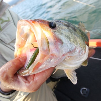 DECOY WORM HOOK Body Hook(ボディーフック) ワーム23 カツイチ