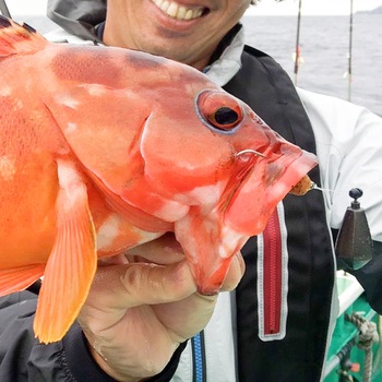 DECOY WORM HOOK Rock'n Hook(ロックンフック) ワーム29 カツイチ