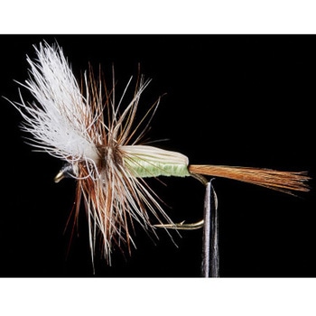 テンカラフライ ドライ - VANFOOK(ヴァンフック)