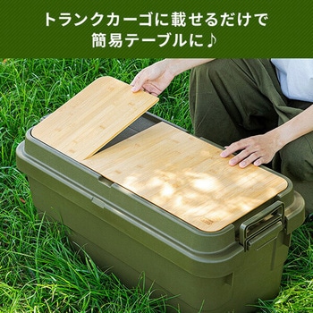 トランクカーゴ LOW 座れる 収納ボックス 日本製 岐阜プラスチック工業(RISU/リス)