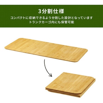 トランクカーゴ LOW 座れる 収納ボックス 日本製 岐阜プラスチック工業(RISU/リス)