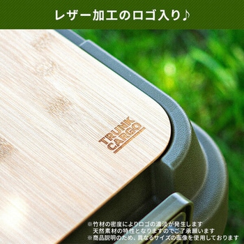 トランクカーゴ LOW 座れる 収納ボックス 日本製 岐阜プラスチック工業(RISU/リス)