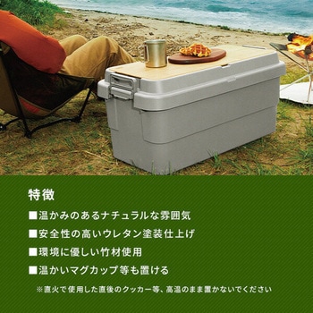 トランクカーゴ LOW 座れる 収納ボックス 日本製 岐阜プラスチック工業(RISU/リス)