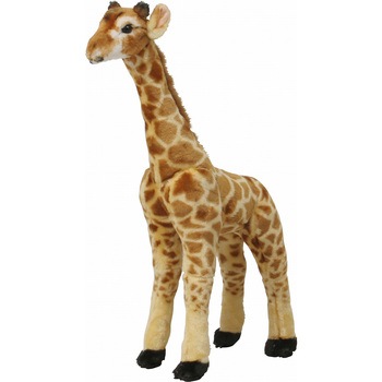 47311 �L���� �s��f�� �u���E���F 52570255