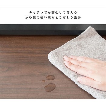 スライド式レンジ下トレー ミヤタケ(宮武製作所)
