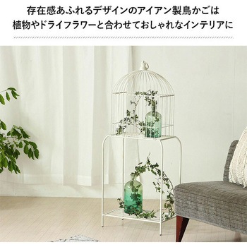 デジヴァイス　バラ売り不可値下げ不可 ヴァイスシュヴァルツの買取・通販ならカードショップ -遊々亭-