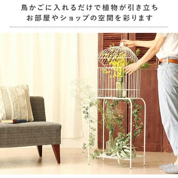 DTDS2280WH ディスプレイバードケージ 1個 スパイス 【通販