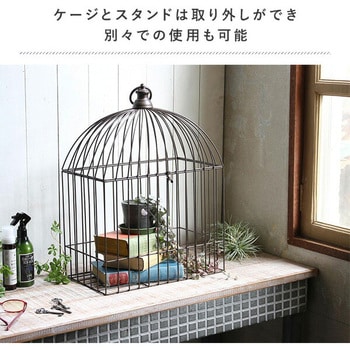 DTDS2280WH ディスプレイバードケージ 1個 スパイス 【通販