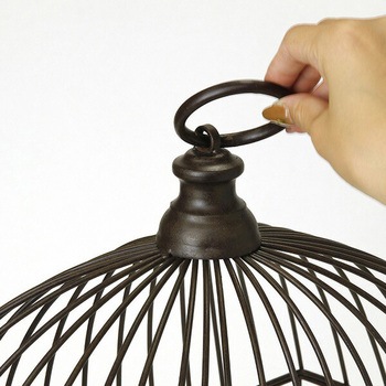 DTDS2280WH ディスプレイバードケージ 1個 スパイス 【通販