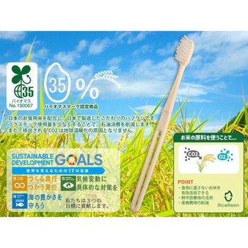 バイオマスハブラシ エコピンク 先細毛カット 230本 山陽物産