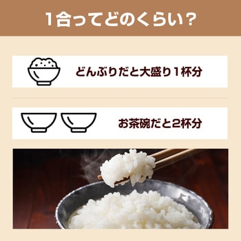 おひとりさま用 超高速弁当箱炊飯器 RABLISS