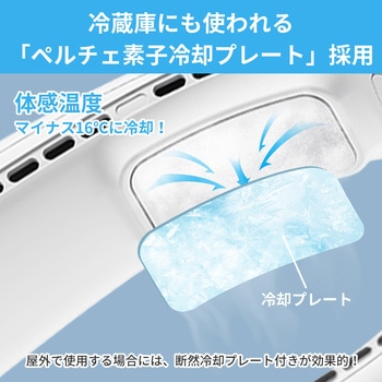 ネッククーラー RABLISS