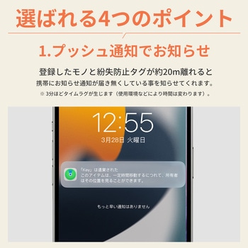 紛失防止タグ RABLISS
