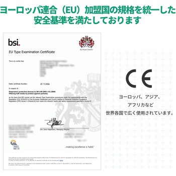 米国NIOSH認証 N95マスク 個別包装 RABLISS