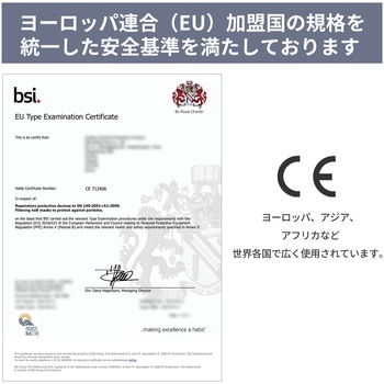N95 マスク カップ型 米国NIOSH 認証 RABLISS