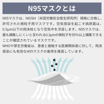 N95 マスク カップ型 米国NIOSH 認証 RABLISS