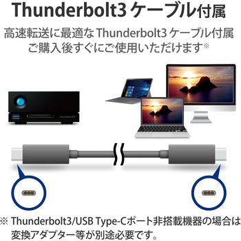 LaCie 外付け HDD 20TB 1big Dock Thunderbolt3×2 USB3.2 USB A×1 5年保証 冷却ファン付 LaCie(ラシー)