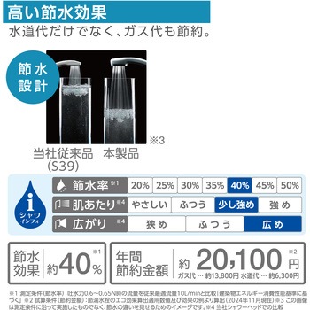 FBシャワーヘッド(レイニーベーシック) SANEI