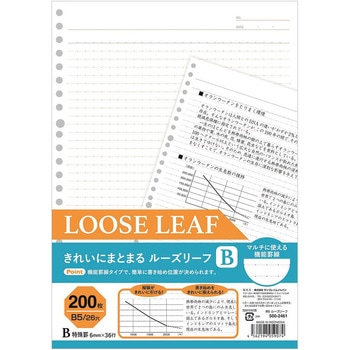 ルーズリーフB5 200枚 ドット サンフレイムジャパン