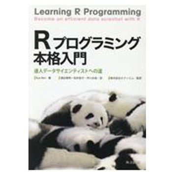Rプログラミング本格入門 共立出版
