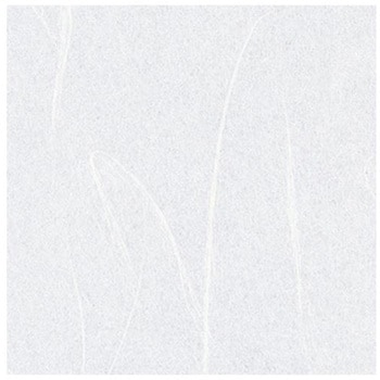 ワーロン タフトップ - WARLON