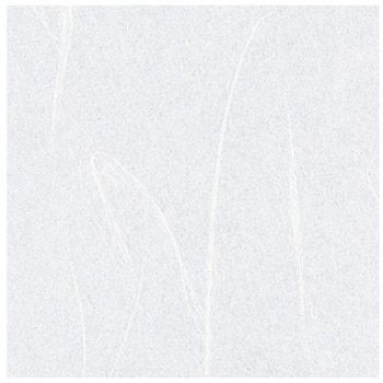 ワーロン タフトップ - WARLON