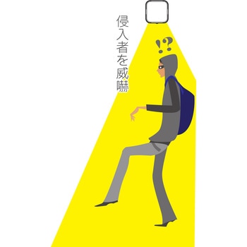 カクピカ リーベックス