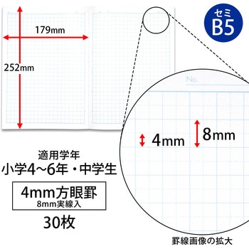 スクールラインプラス 4mm方眼罫(ブルー) - 日本ノート