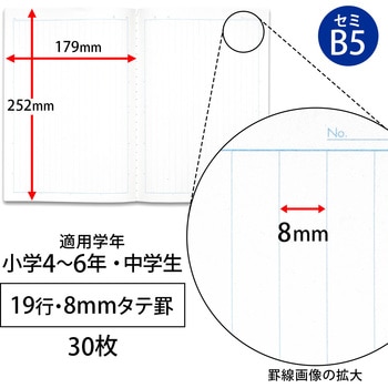 スクールラインプラス タテ罫19行 日本ノート