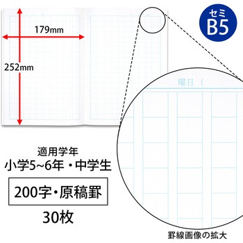 スクールラインプラス 200字 日本ノート