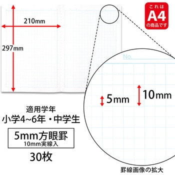 スクールラインプラス A4方眼罫5mm 日本ノート