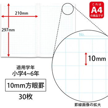 スクールラインプラス A4方眼罫10mm(ブルー) - 日本ノート