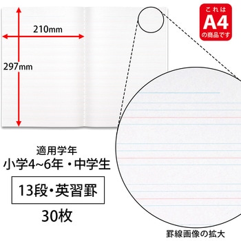 スクールラインプラス A4英習罫13段 日本ノート