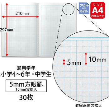 スクールラインプラス A4 Pノート5mm方眼罫 - 日本ノート
