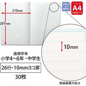 スクールラインプラス A4 Pノート10mmヨコ罫 日本ノート