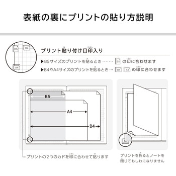 スクールラインプラス A4 Pノート10mmヨコ罫 日本ノート