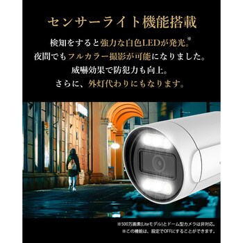 SecuSTATION POE4ch録画装置+500万画素防犯カメラ1台セット