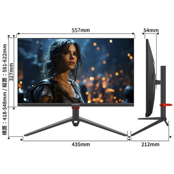 ゲーミング液晶ディスプレイ 24.5型/1920×1080/HDMI×2、DP×2/ブラック/スピーカー：有 JAPANNEXT