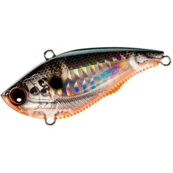 65mm 3DB �o�C�u (S) �f���G�� �V���L���O�^�C�v PTSH �v���Y���e�l�V�[�V���b�h�F   65mm 52666619