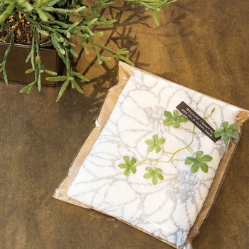 テクスチャーグリーンシール HEADS(ヘッズ)