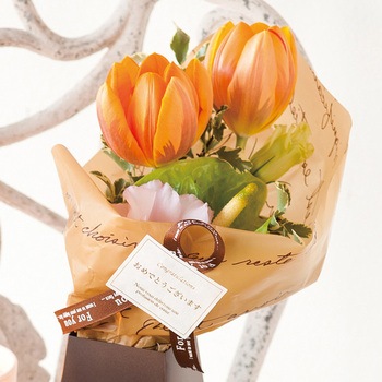 NEWフレンチショートPEロール -クラフト HEADS(ヘッズ)